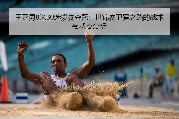 wang-jia-nan-mi-xuan-ba-sai-duo-guan-shi-jin-sai-wei-mian-zhi-lu-de-zhan-shu-yu-zhuang-tai-fen-xi-2-173.jpg